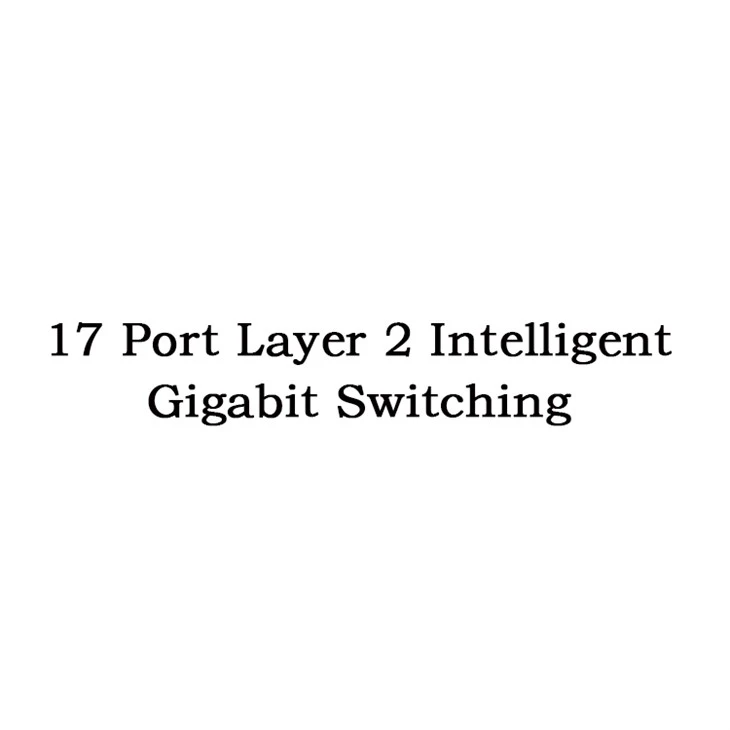 17 Port Layer 2 Intelligent Gigabit Switching